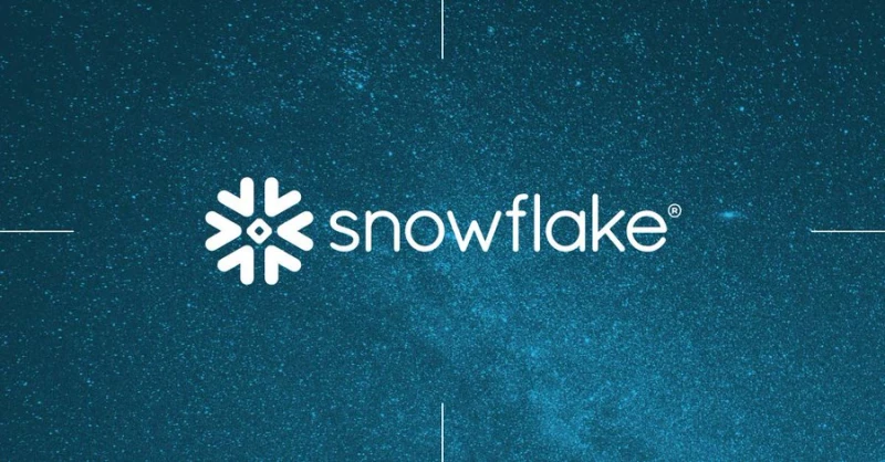 snowflake یکی از استارتاپ های خارجی موفق